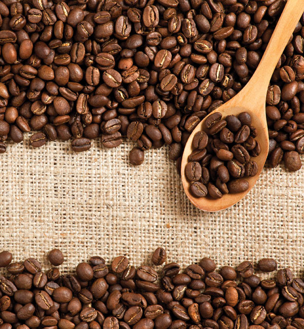 Cocoa Beans